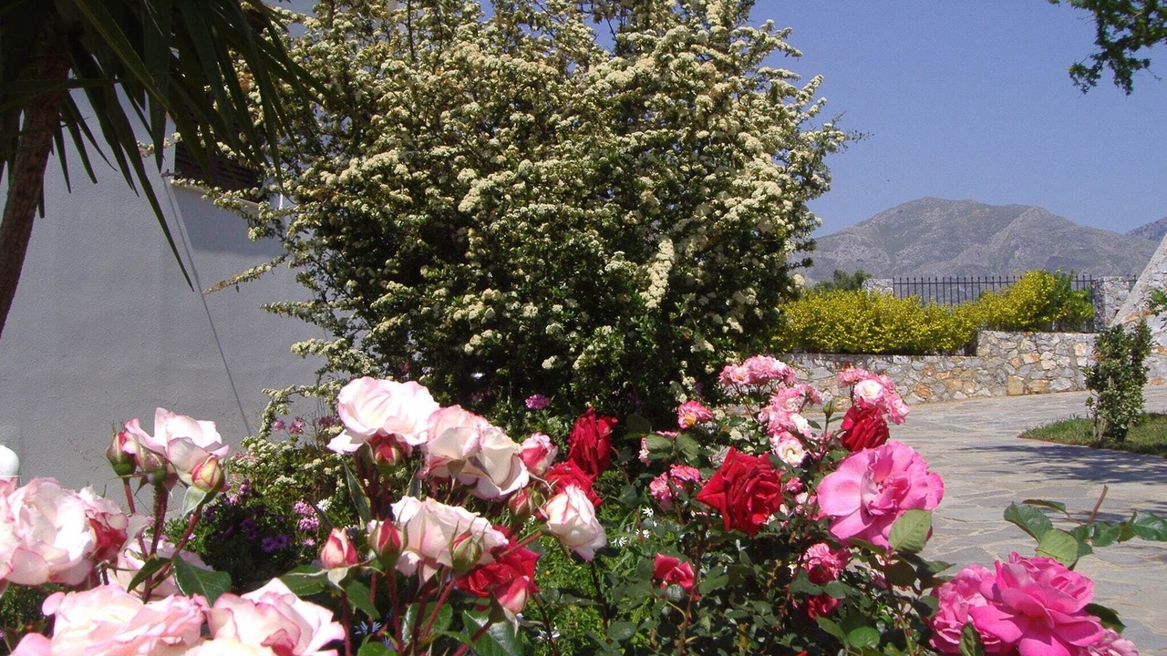 Photo of Outdoor in Lefkogeia