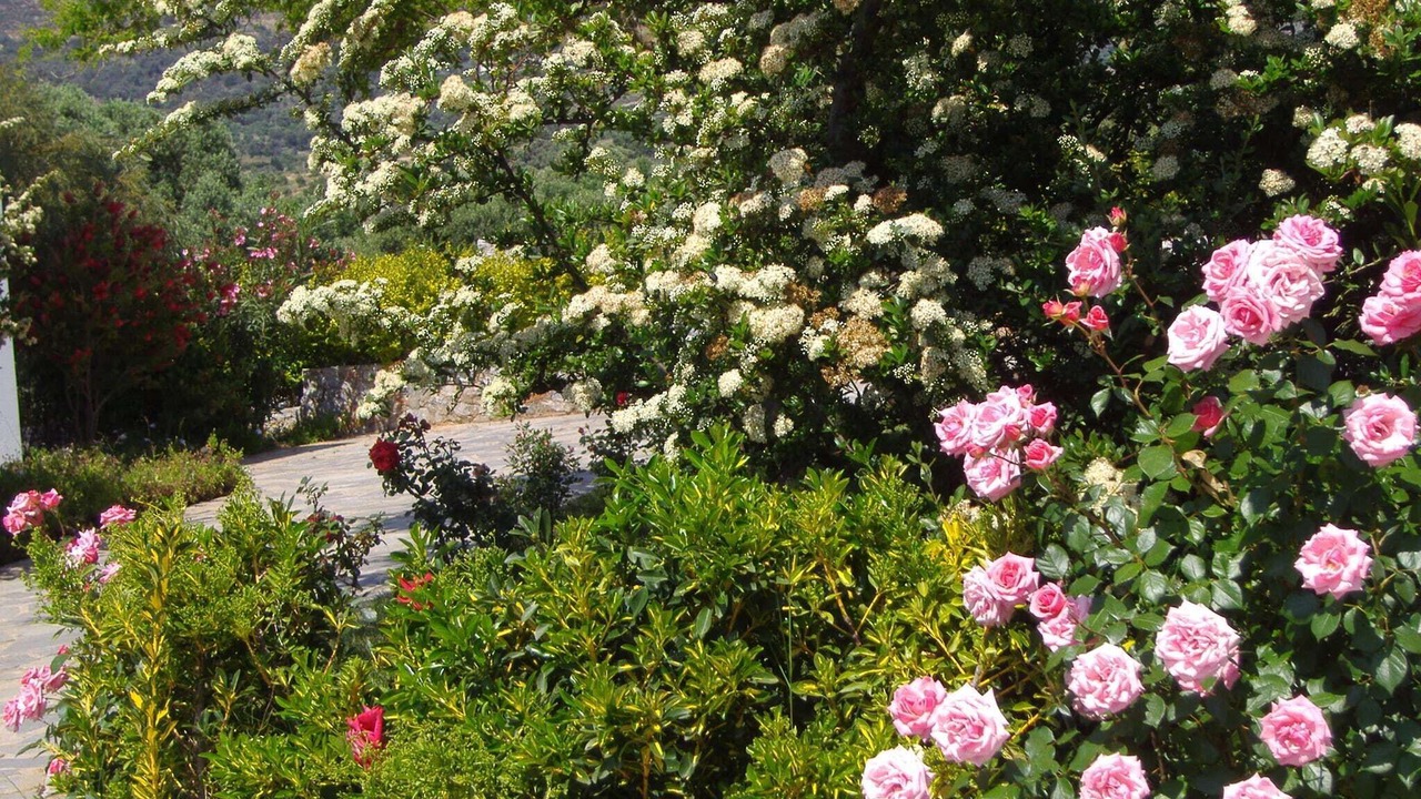 Photo of Outdoor in Lefkogeia