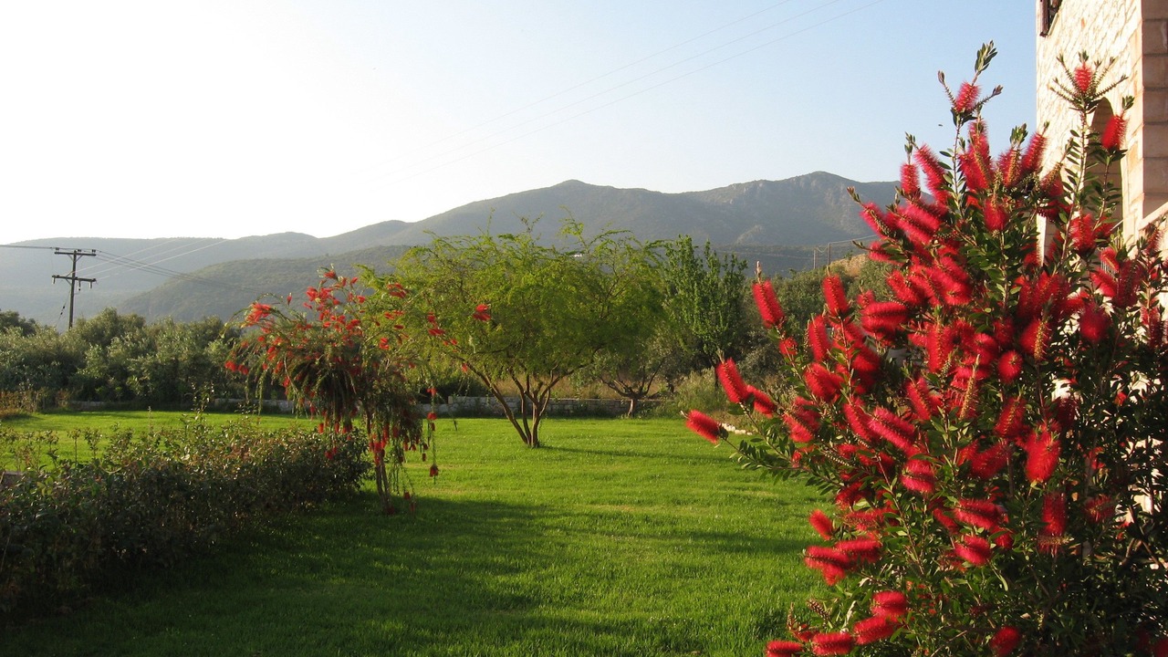 Photo of Outdoor in Kardamyli