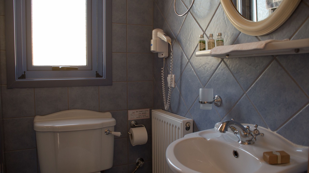 Photo of Bathroom in Plateies