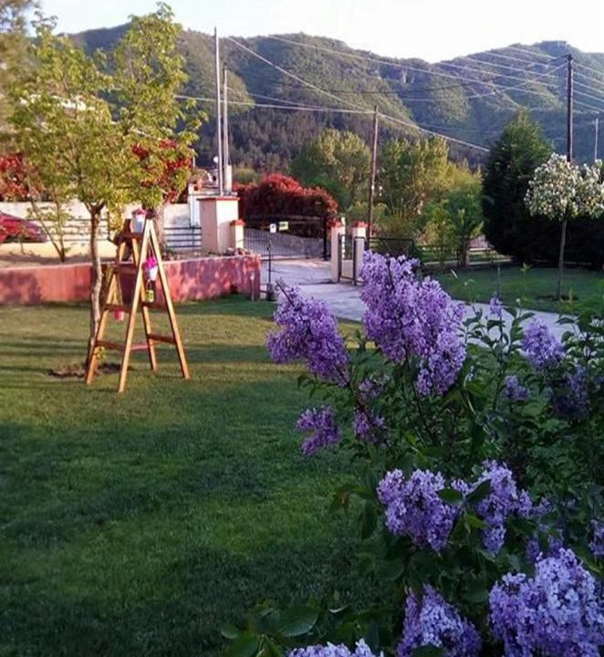 Photo of Others in Kavala