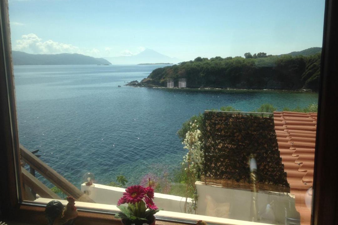 Photo of Others in Aristotelis
