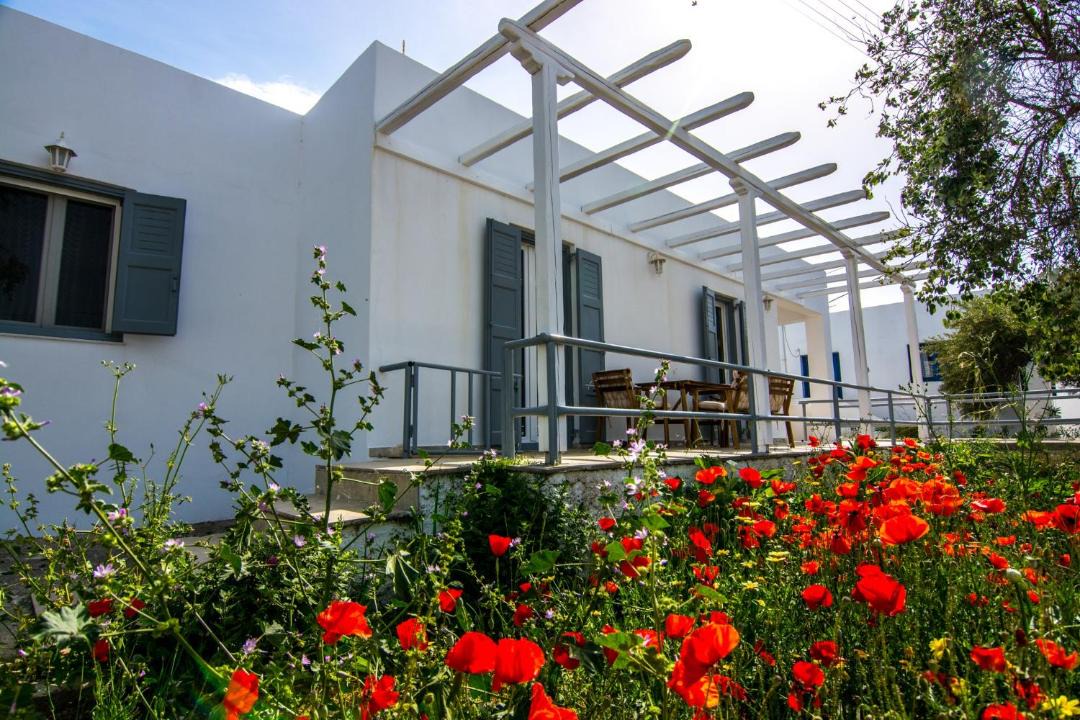 Photo of Buildings in Zefiria