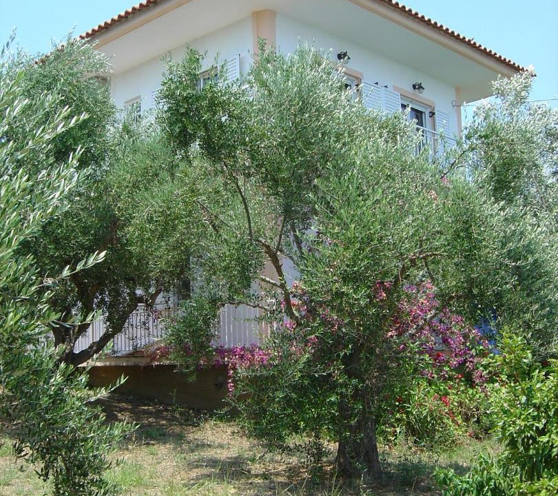 Photo of Others in Kompi