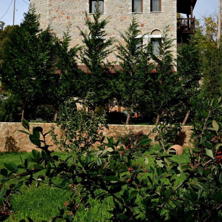 Photo of Others in Mesaia Trikala