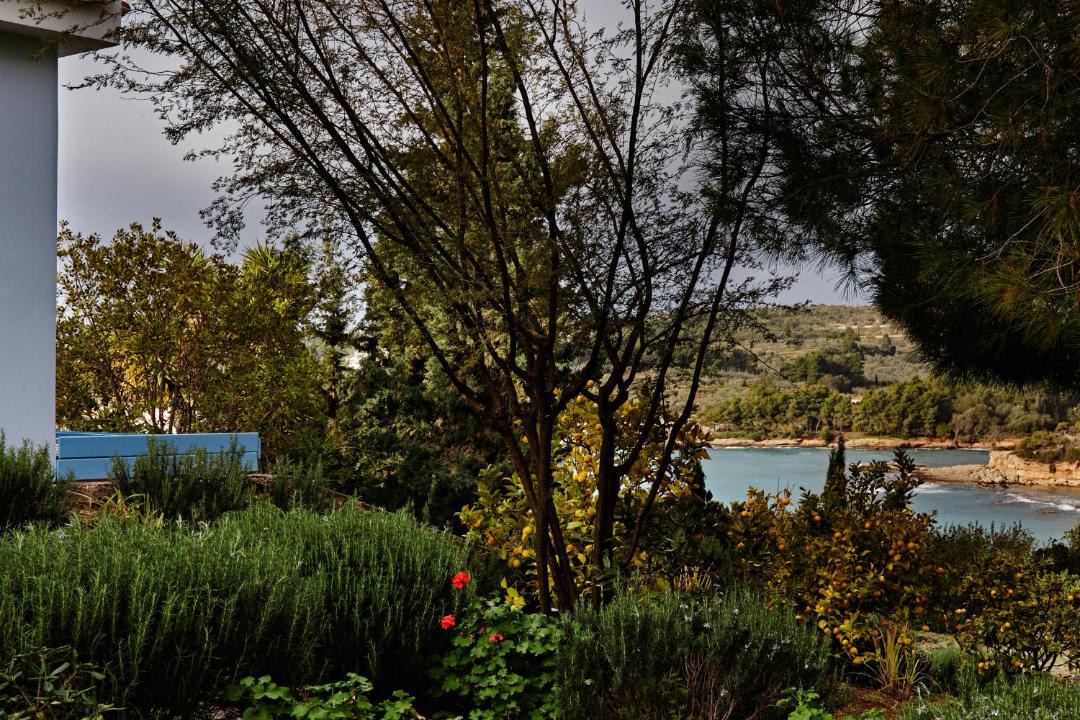 Photo of Others in Agios Emilianos