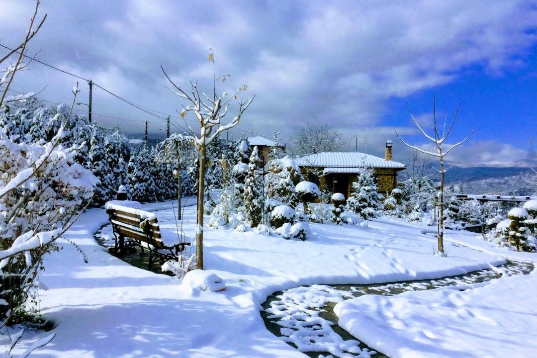 Photo of Others in Edessa