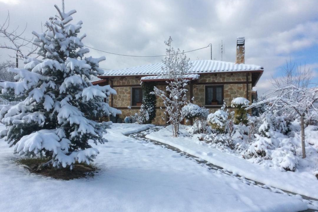 Photo of Others in Edessa
