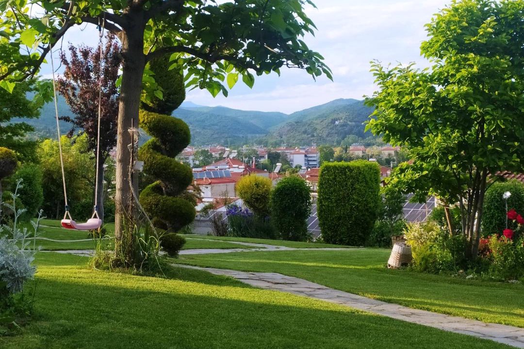 Photo of Others in Edessa