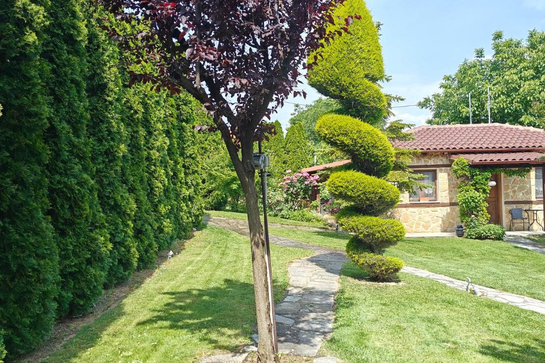 Photo of Others in Edessa