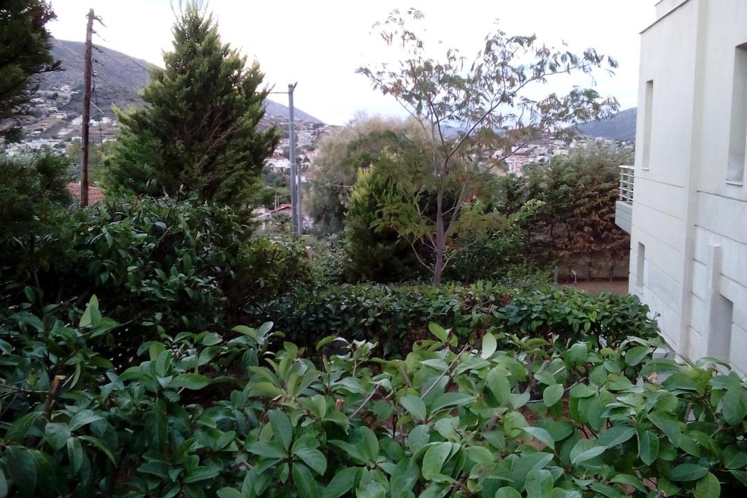 Photo of Others in Saronikos