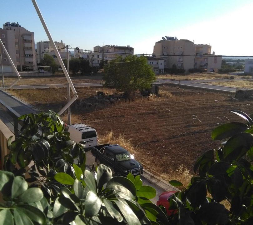 Photo of Outdoor in Kropia