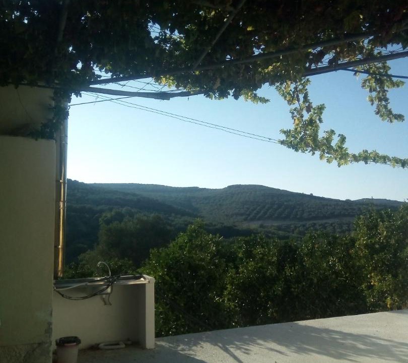 Photo of Others in Platanias