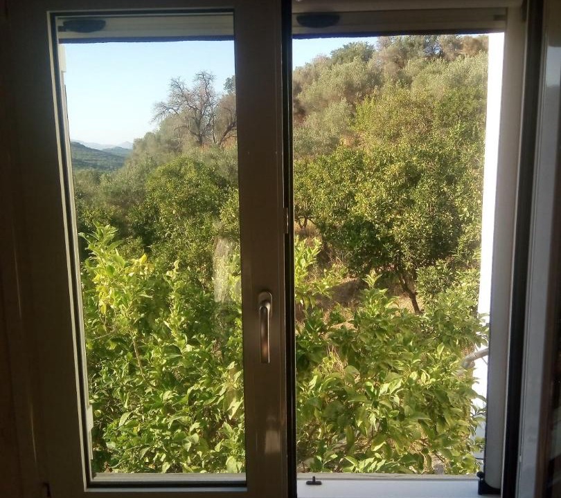 Photo of Others in Platanias