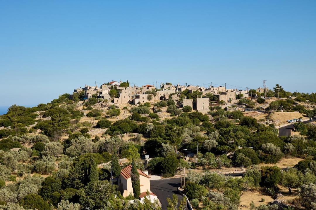 Photo of Others in Avgonima