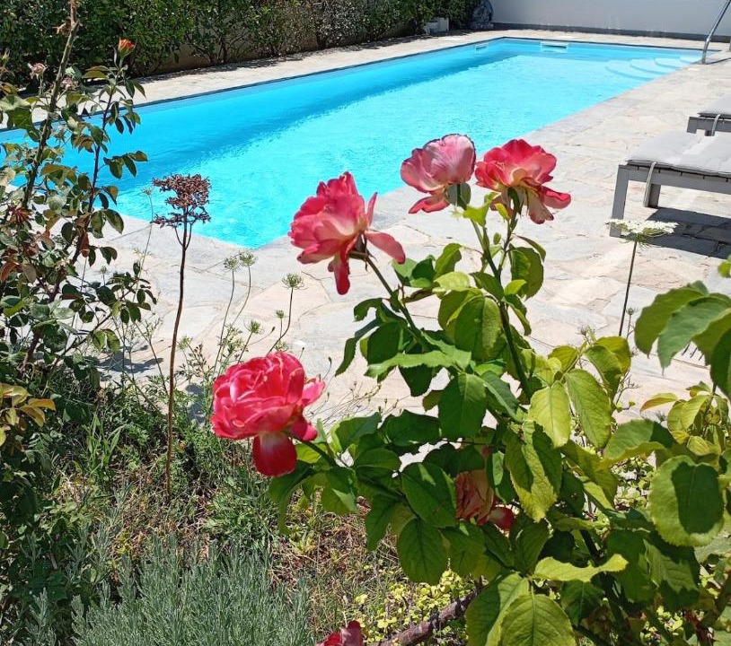 Photo of Others in Anavyssos