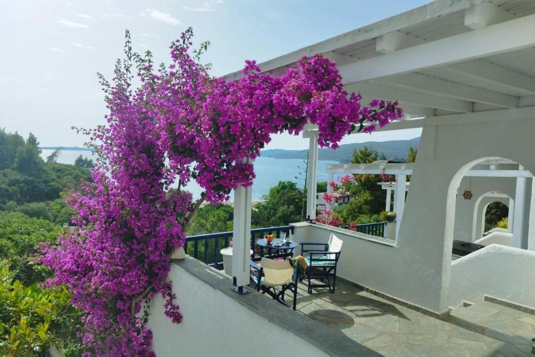 Photo of Others in Sithonia