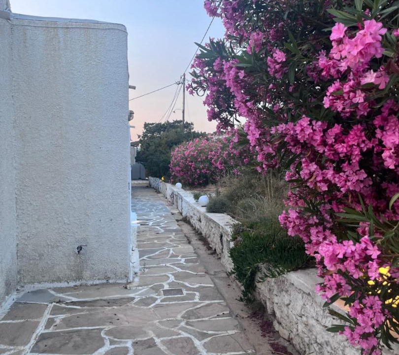 Photo of Others in Naxos