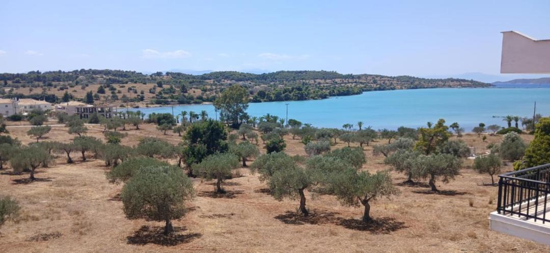 Photo of Others in Porto Heli