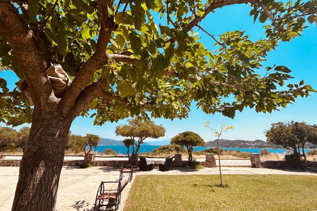 Photo of Others in Aristotelis