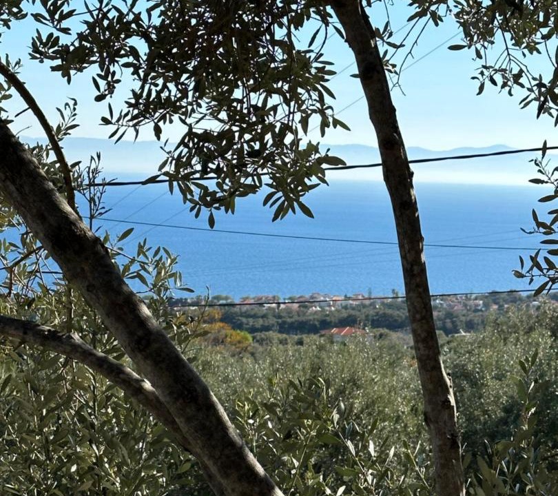 Photo of Others in Mytilene