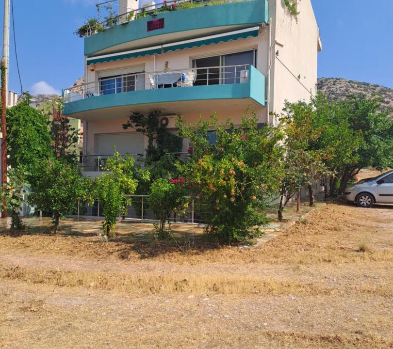 Photo of Others in Charakas