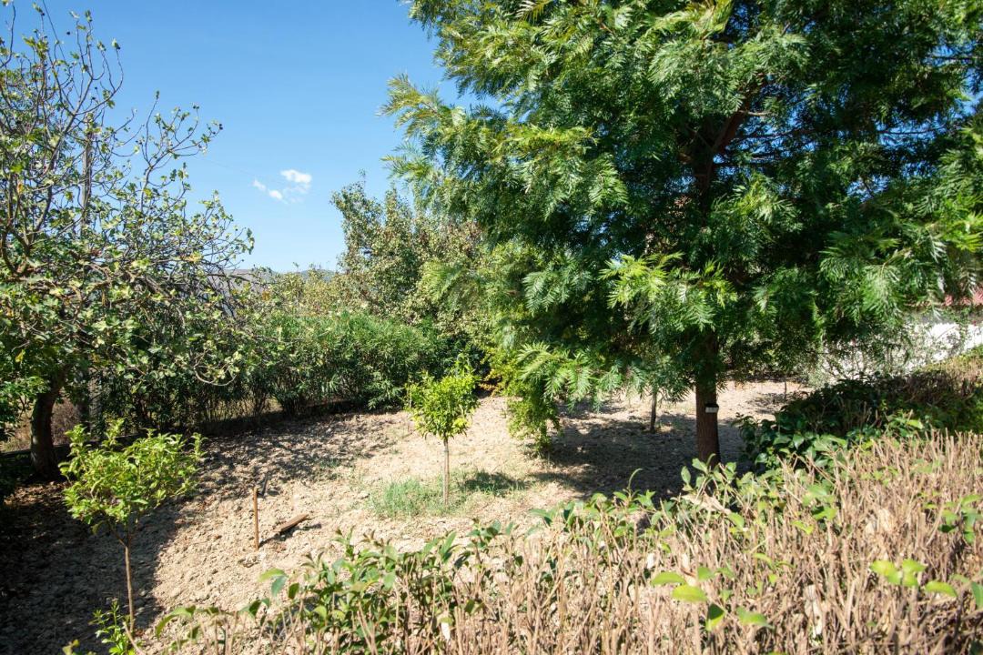 Photo of Outdoor in Ayios Kirikos