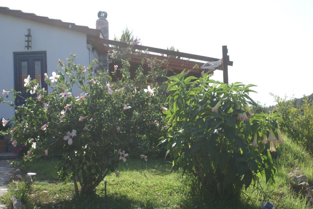 Photo of Others in Asklipiio