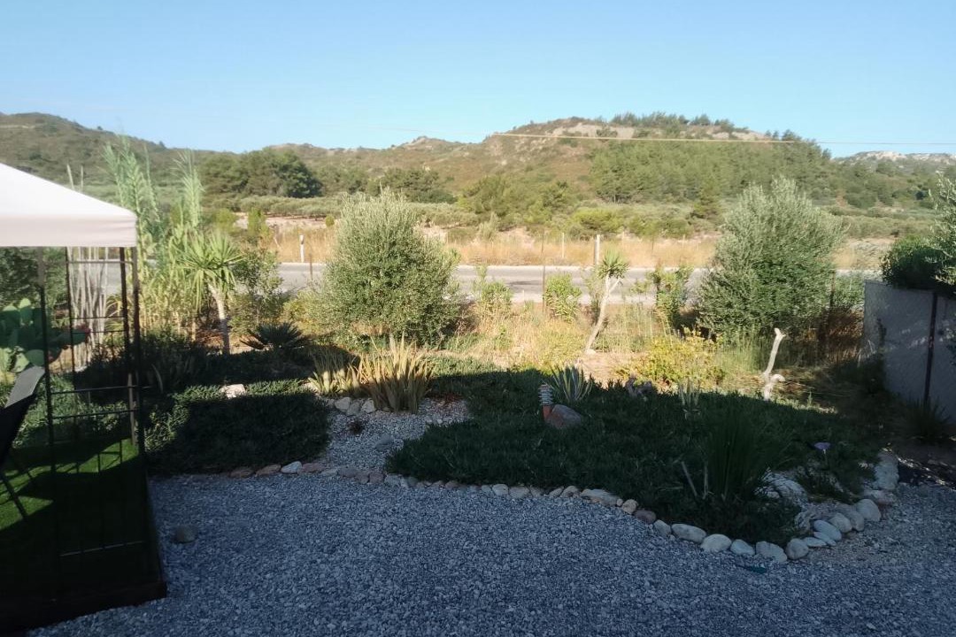 Photo of Others in Kamiros