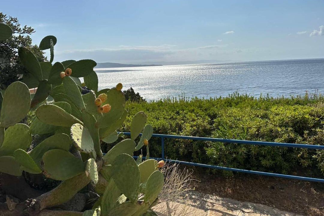 Photo of Others in Kato Sounion