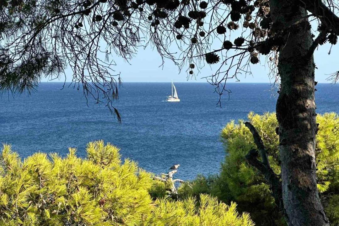 Photo of Others in Kato Sounion