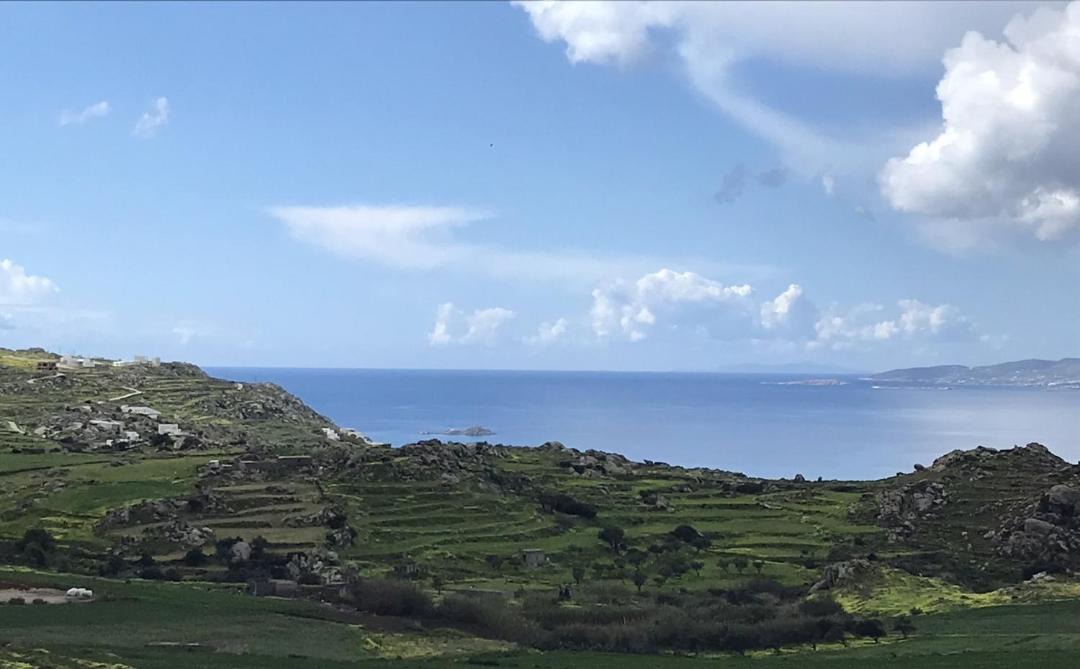 Photo of Others in Naxos