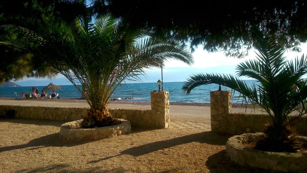 Photo of Outdoor in Iria