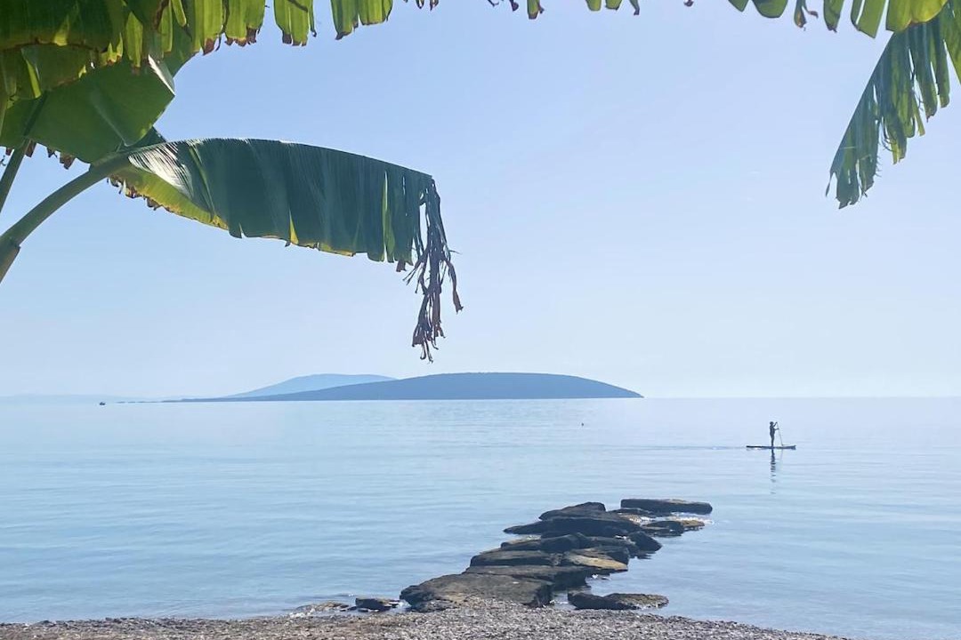 Photo of Others in Drepano
