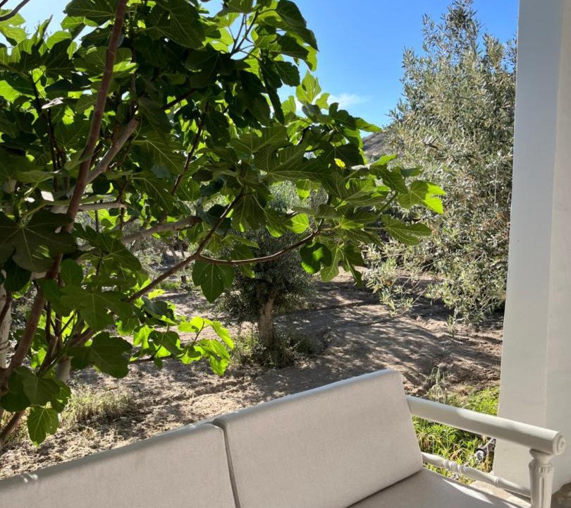 Photo of Patio Balcony in Kini