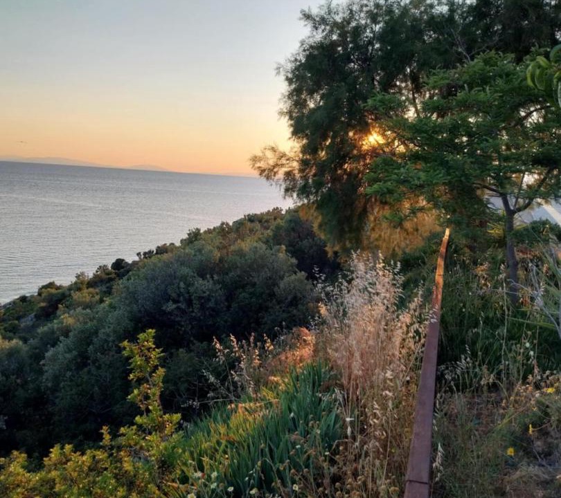 Photo of Others in Skala Marion