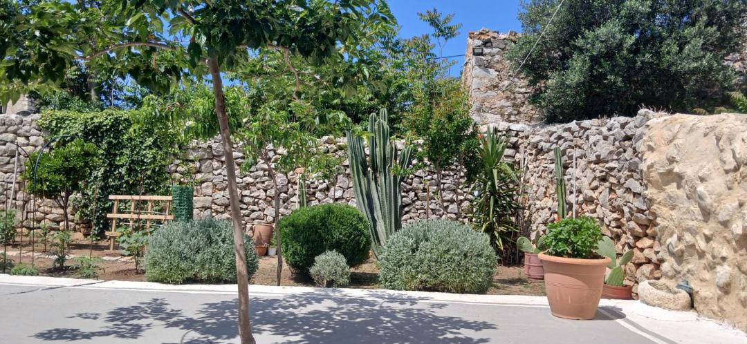 Photo of Others in Areopoli