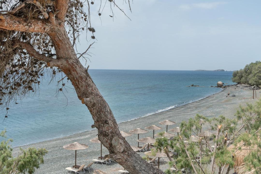 Photo of Others in Panormos