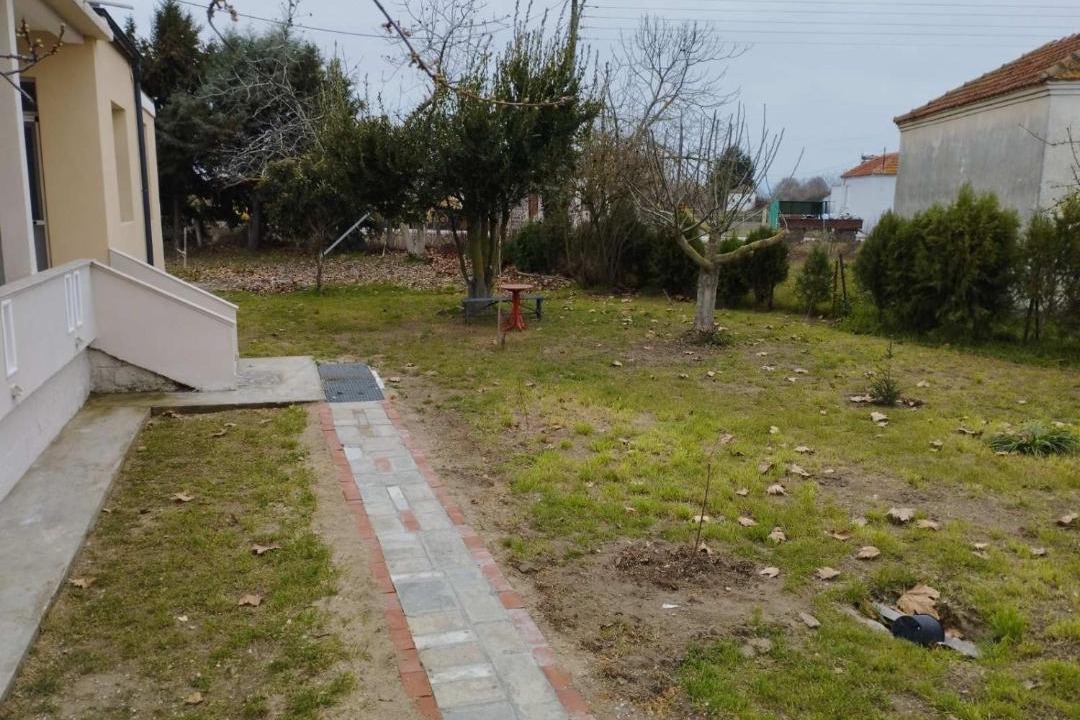 Photo of Others in Nestos