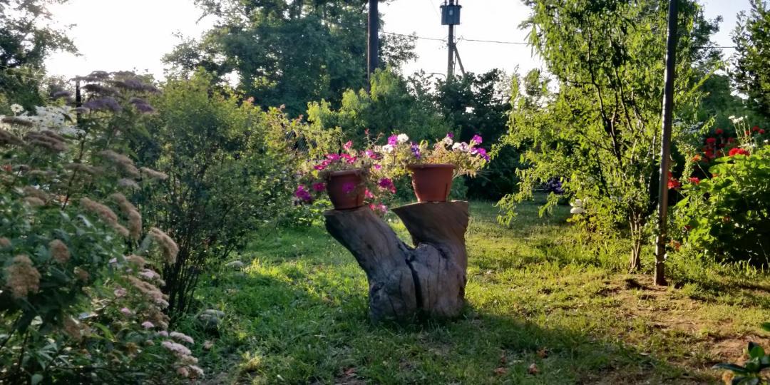 Photo of Outdoor in Therma