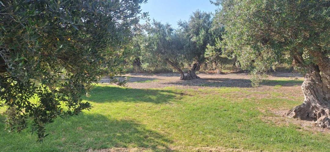 Photo of Outdoor in Katochori
