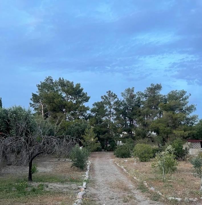 Photo of Others in Lagonissi