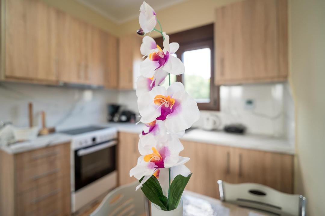Photo of Kitchen in Agia Ermioni
