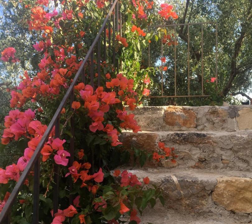 Photo of Others in Agios Ioannis