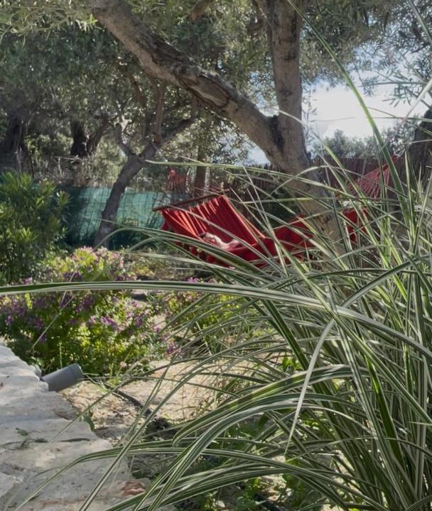 Photo of Outdoor in Rethymno