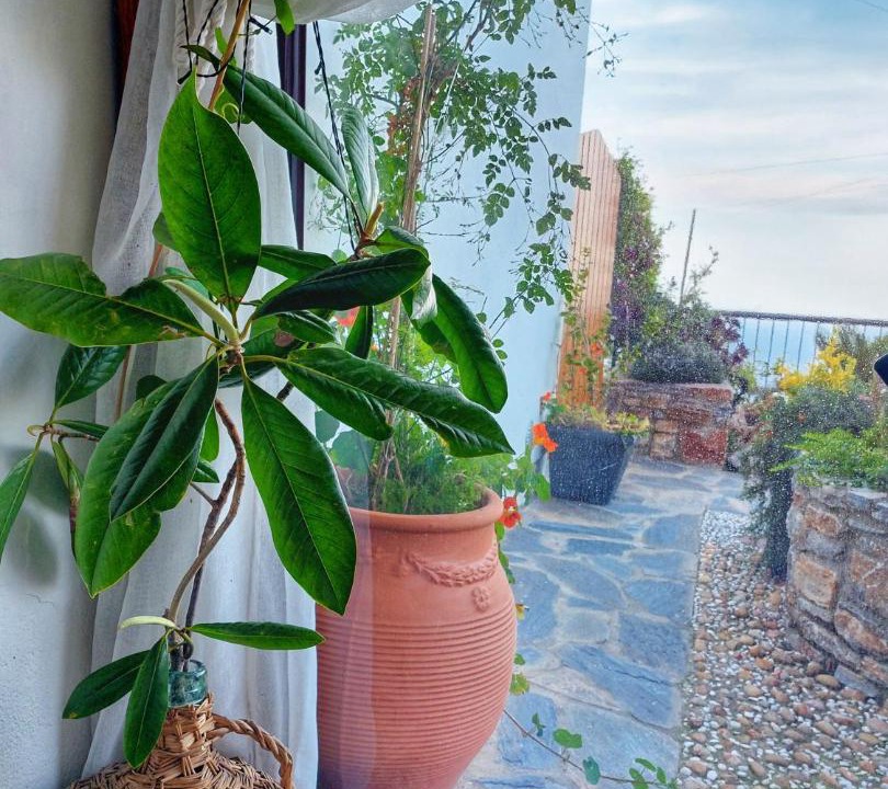 Photo of Patio Balcony in Tsagarada