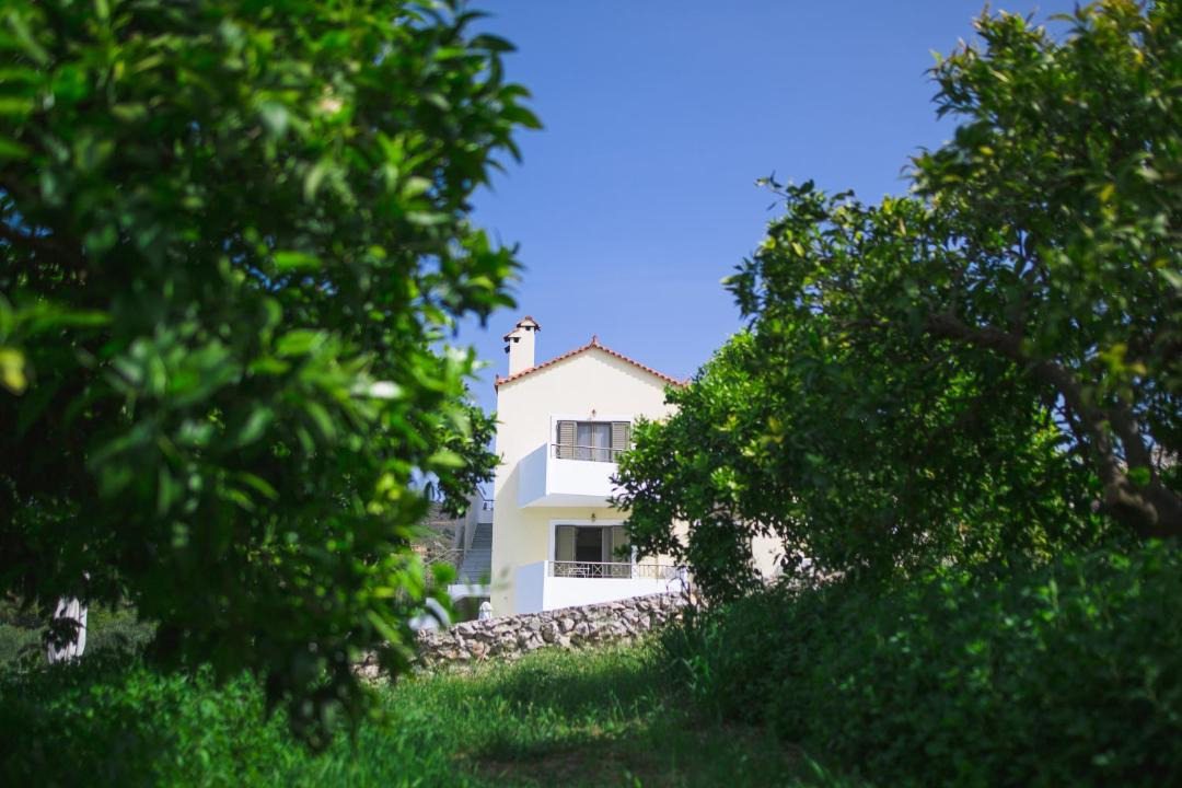 Photo of Others in Nea Tirintha