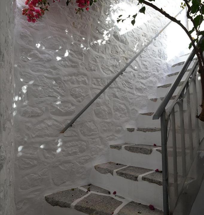 Photo of Others in Hydra