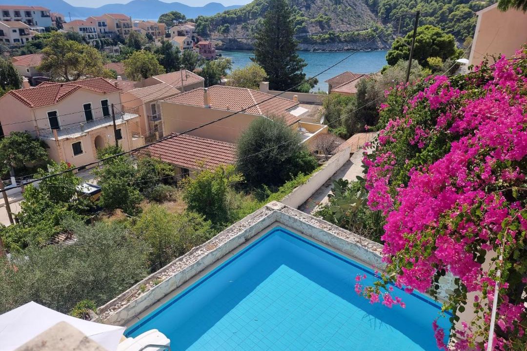 Photo of Others in Assos