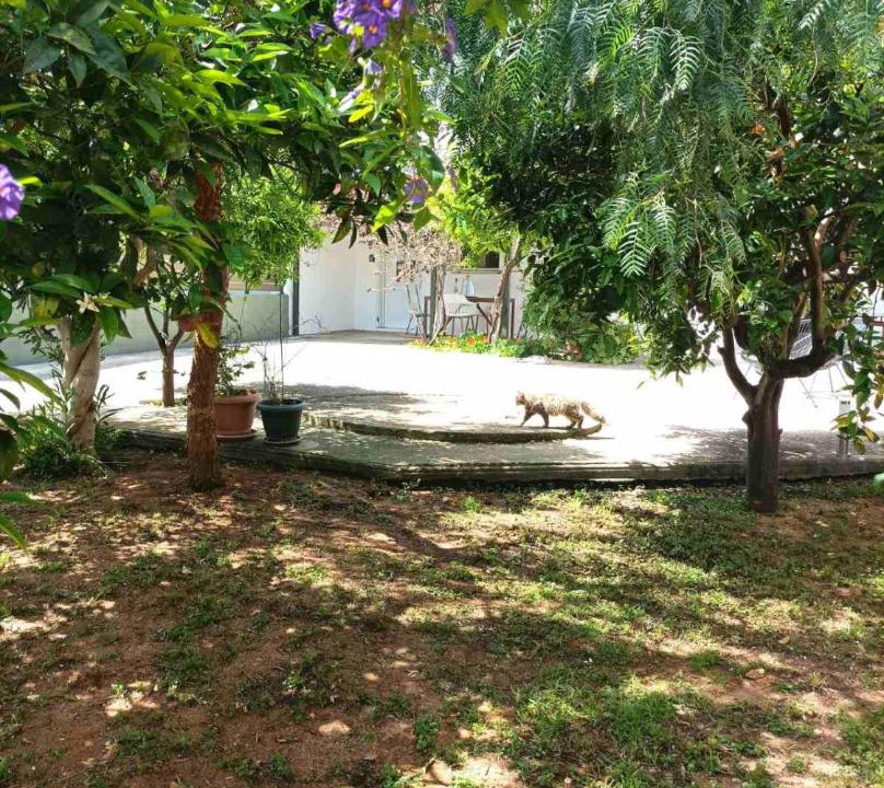 Photo of Others in Petrochori